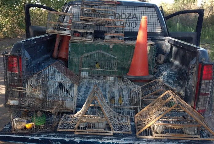 RIVADAVIA: Detuvieron a un hombre por tenencia de aves.