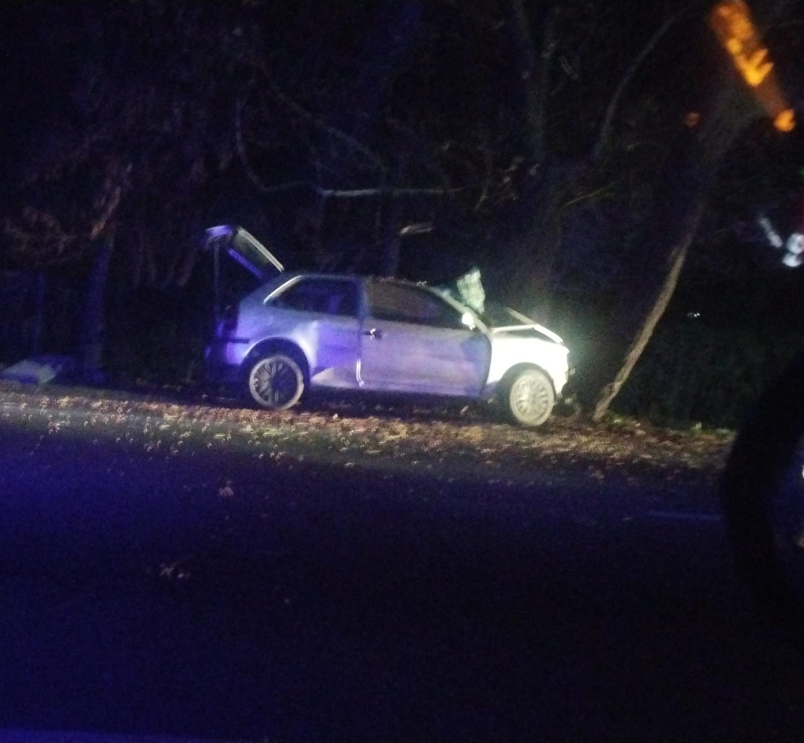 Chocó contra un árbol y debió ser hospitalizado.