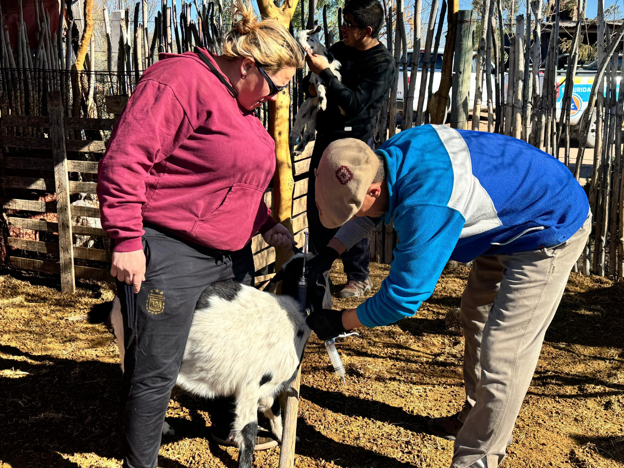 LAS CATITAS: Se realizó un importante operativo rural en 